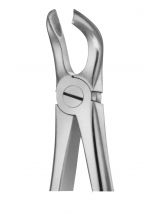ANATOMICA TOOTH FORCEPS F/LOWER MOLARS NO.79A