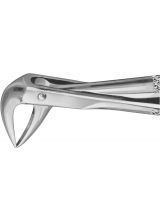 ANATOMICA TOOTH FORCEPS NO.74 LOWER ROOTS