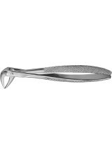 ANATOMICA TOOTH FORCEPS NO.31 LOWER INCISORS