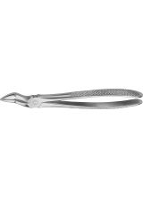 BUECHS ANATOMICA TOOTH FORCEPS NO.51A