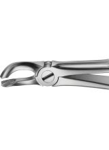 BUECHS ANATOMICA TOOTH FORCEPS NO.79