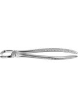 BUECHS ANATOMICA TOOTH FORCEPS #79A