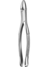 TOOTH FORCEPS AMERICAN PATTERN #1