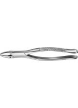 TOOTH FORCEPS AMERICAN PATTERN #101