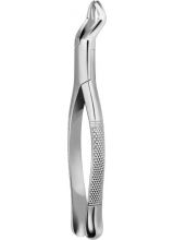 TOOTH FORCEPS AMERICAN PATTERN #53L
