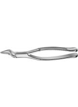 TOOTH FORCEPS AMERICAN PATTERN #65