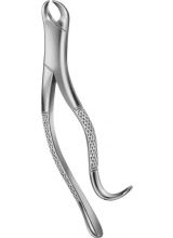 TOOTH FORCEPS AMERICAN PATTERN #16