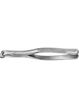 TOOTH FORCEPS AMERICAN PATTERN #222