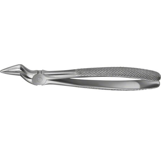 ANATOMICA TOOTH FORCEPS NO.51A UPPER ROOTS