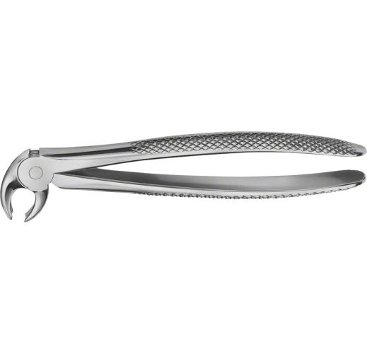 ANATOMICA TOOTH FORCEPS NO.8 LOWER INCISORS