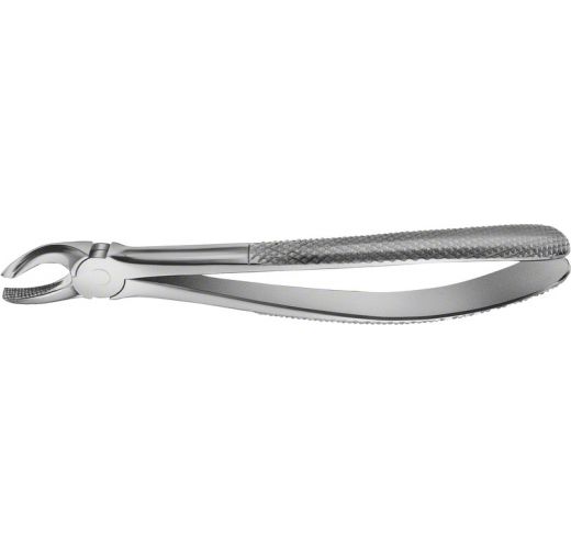 BUECHS ANATOMICA TOOTH FORCEPS #17