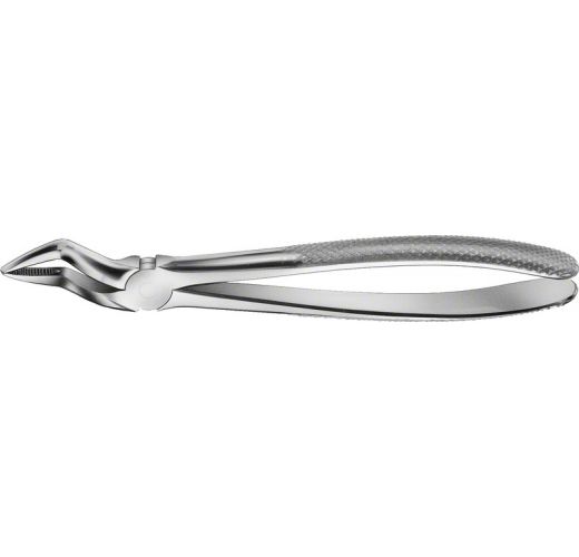 BUECHS ANATOMICA TOOTH FORCEPS NO.51