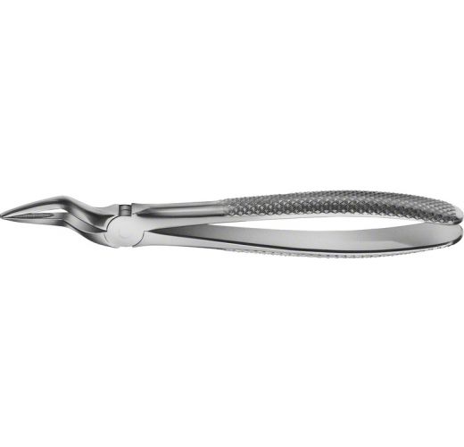 BUECHS ANATOMICA TOOTH FORCEPS NO.51AL