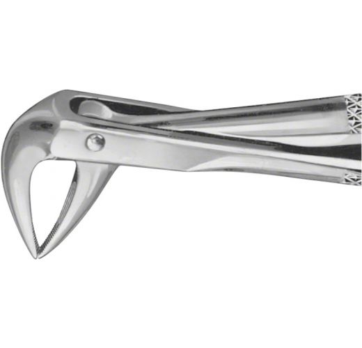 BUECHS ANATOMICA TOOTH FORCEPS NO.74