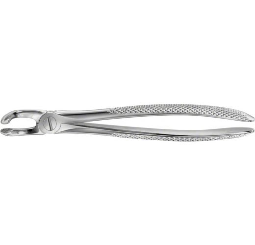 BUECHS ANATOMICA TOOTH FORCEPS #79A