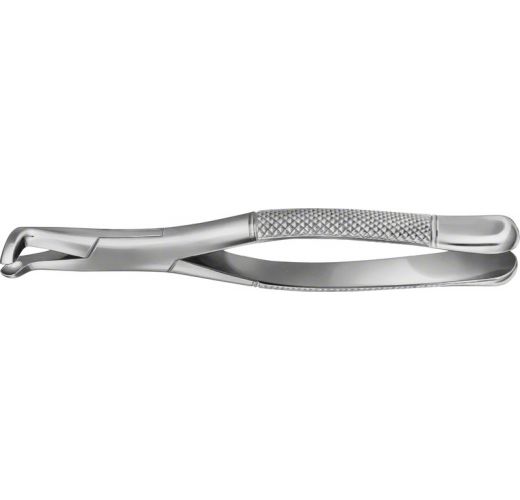 TOOTH FORCEPS AMERICAN PATTERN #5