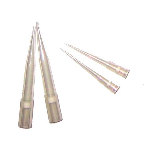 Pipette Filter Tip 50-1000?l BRAND, rack of 100x2
