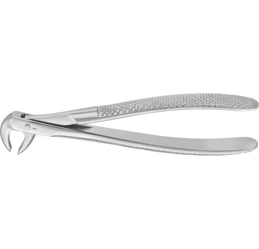 Forceps anatómica incisivos inferiore