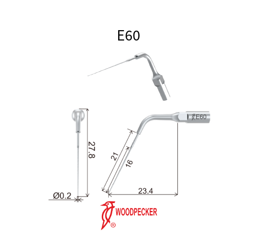 Tip E60 for Air Polisher PT-A, PT-B and PT-E | Endodontics