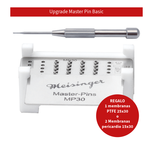 Upgrade Master Pin Basic