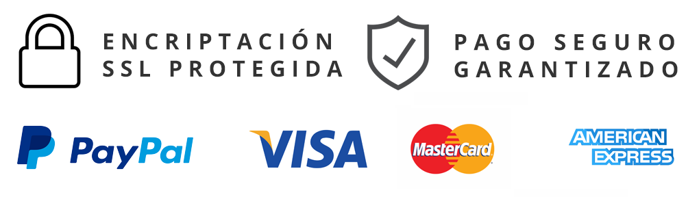 Pago seguro en sanhigia paypal visa mastercard american express